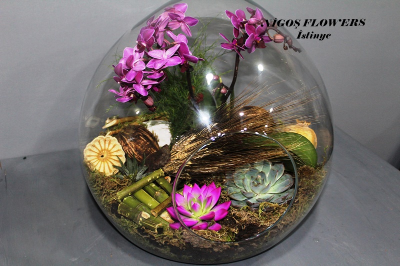 SUCCULENT - TERRARİUM